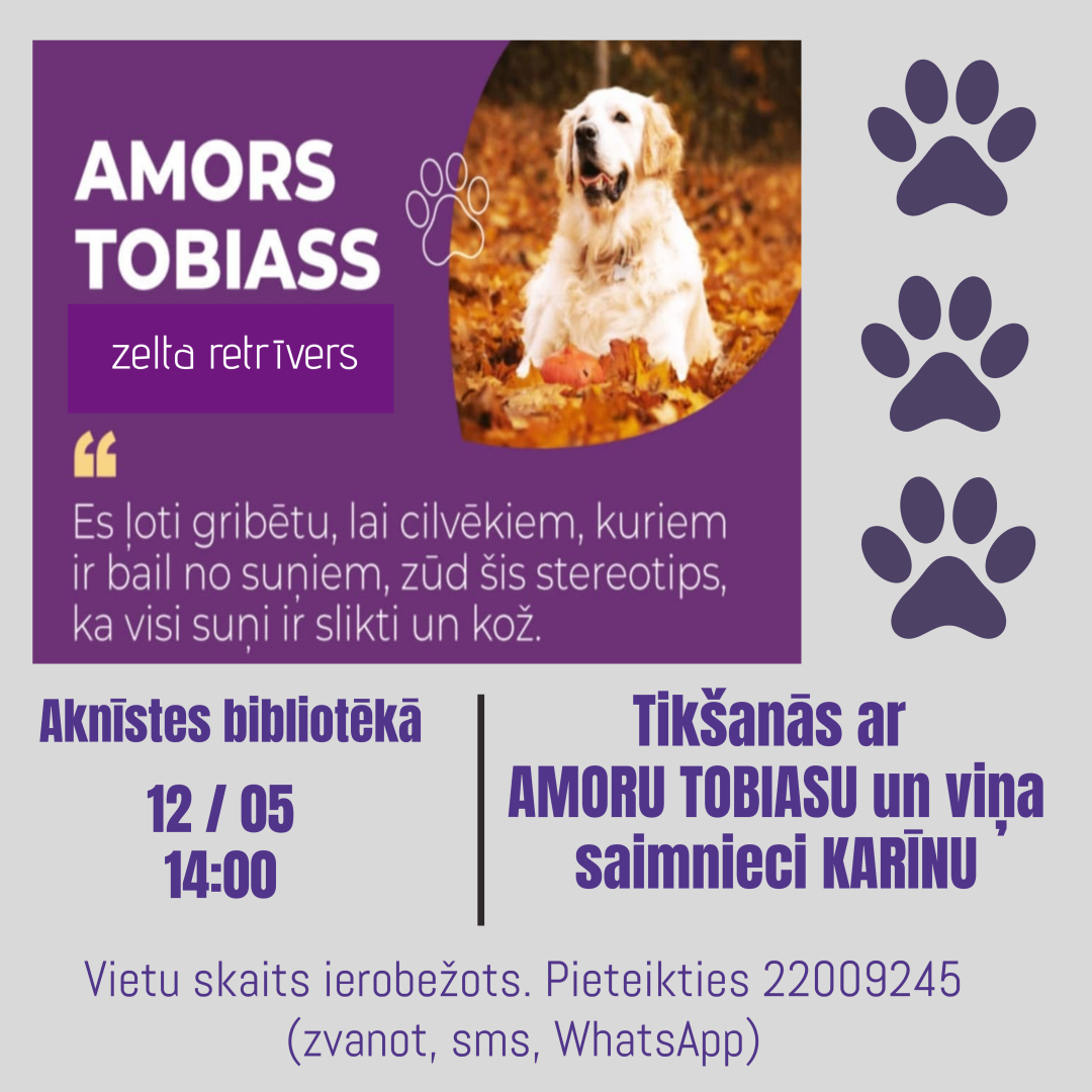 amors-1.jpg